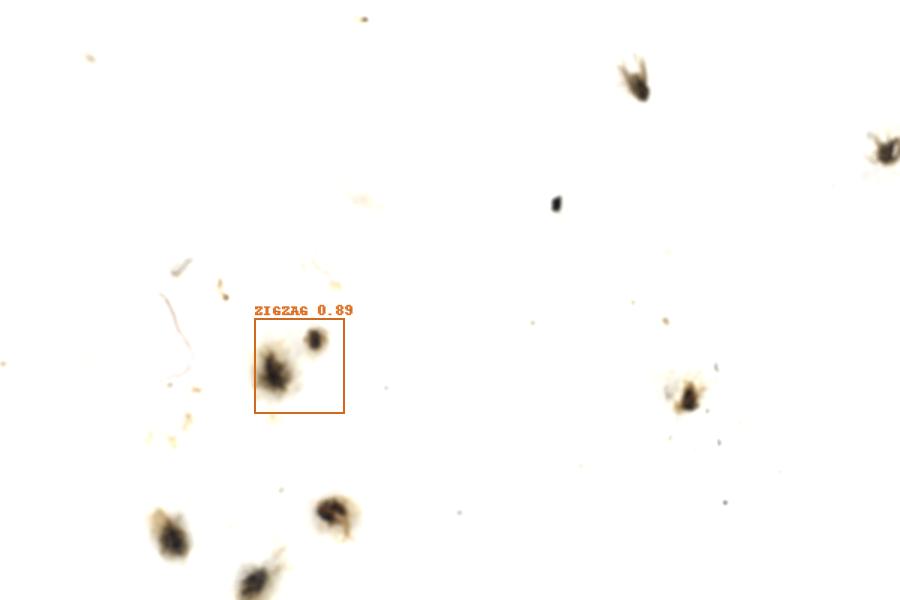 Image 46